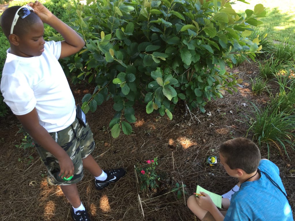 Students judging plants