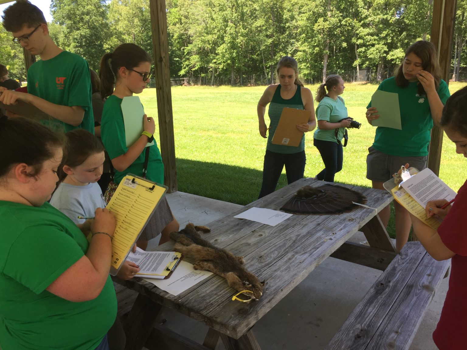 4H Wildlife Club Davidson County