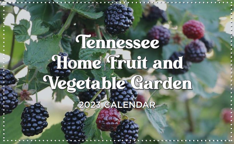 Tennessee Home Fruit and Vegetable Garden Calendar