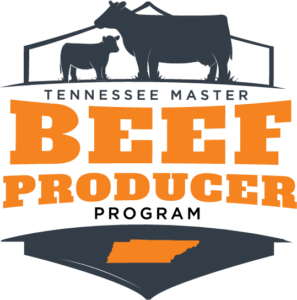 Master Beef logo