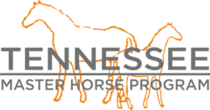 master horse logo