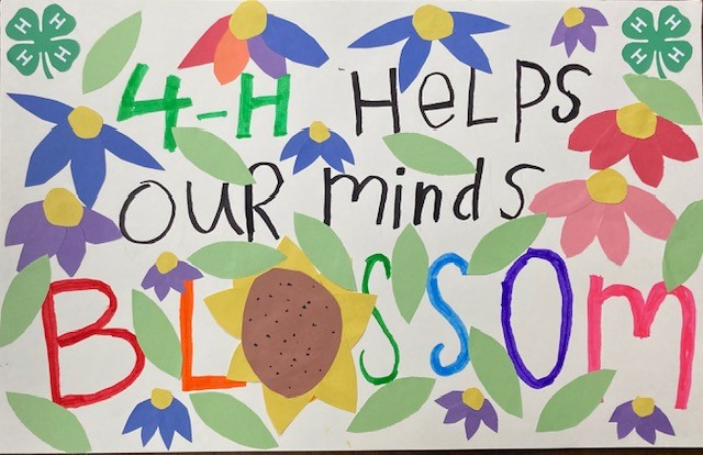 4-H Poster Flowers