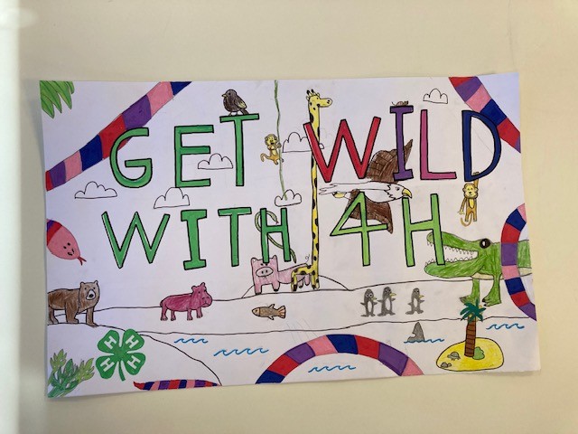 4-H Wildlife Poster