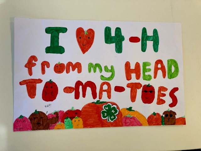 4-H Tomatoes Poster