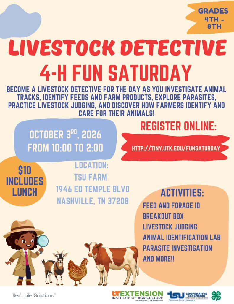 Fun Saturday Livestock Detective