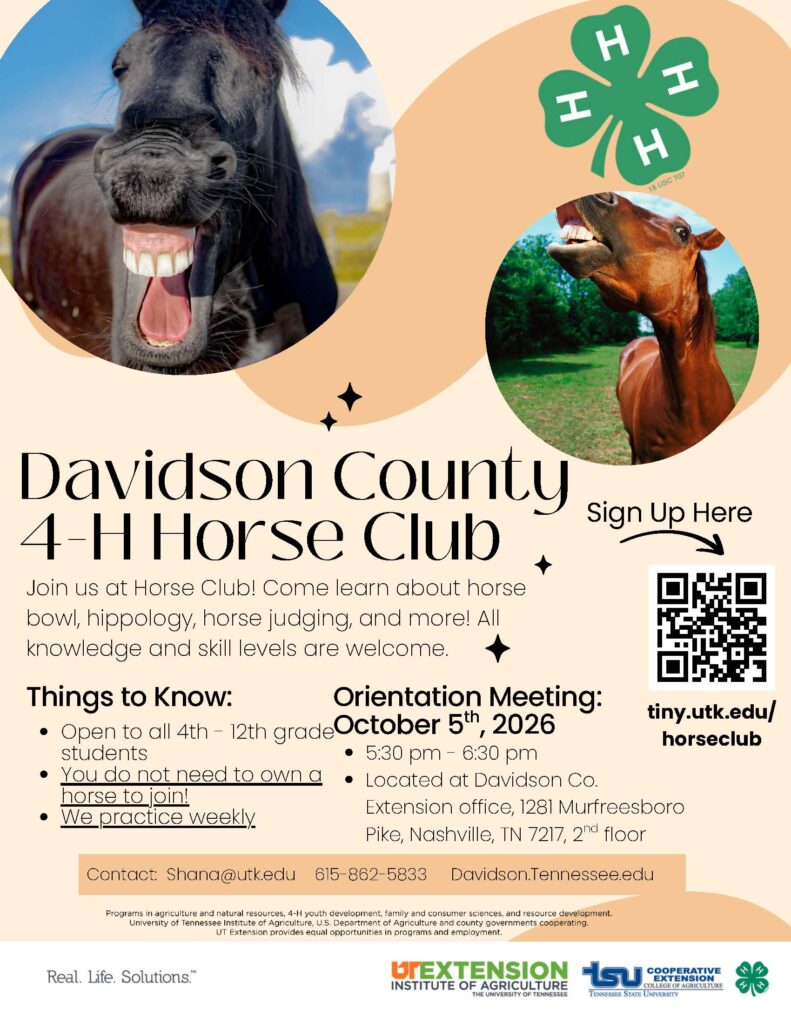 Horse Club Flyer
